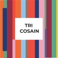 Tri Cosain - Weaving Inspiration, Learning And Career Development