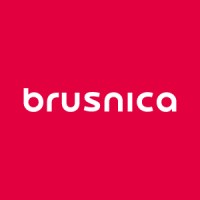 Brusnica logo - Similar company to Девелоперская Компания Брусника