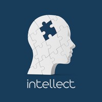 Intellect logo - Similar company to Nssoft