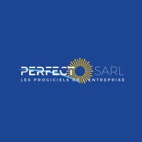 Perfecto SARL logo - Similar company to Ssn