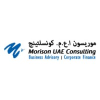 Morison UAE Consulting logo - Similar company to Pools R Us Dubai Llc