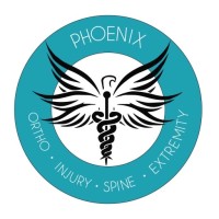 Phoenix Ortho Injury Spine & Extremity logo - Similar company to Anonymous Marketing