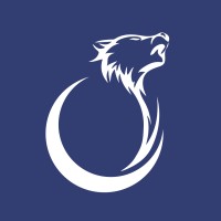 WolSec logo - Similar company to Gs Sicurezza