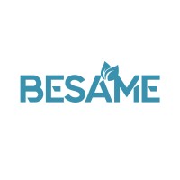 Besame Kozmetik logo - Similar company to Gam Kozmetik