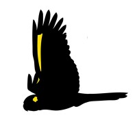 Black Cockatoo Bushcare logo - Similar company to Macaw Mountain Bird Park And Nature Reserve