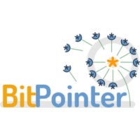 BitPointer logo - Similar company to Nmv Soluciones