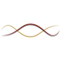 Numina.ai logo - Similar company to Minhaj Solutions