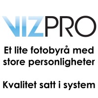 VizPro AS logo - Similar company to Vizpro Pvt. Ltd.