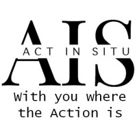 ACT IN SITU logo - Similar company to Idevelop