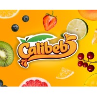 GRUPO CALIBEB, S.A. DE C.V. logo - Similar company to Digi Masters Mx