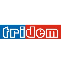Tridem Software Automation R&D Engineering and Consulting Co. logo - Similar company to Lmt Group (R&D&I And Software Engineering)