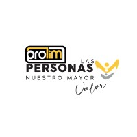 Grupo Prolim logo - Similar company to Soluciones Tecnológicas Sustentables Sa De Cv