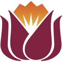 Soluxe International USA logo - Similar company to Harvest Center Chad