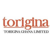 TORIGINA GHANA LIMITED logo - Similar company to Adaptive Engineering Lab (Ael)