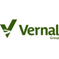 Vernal Group logo - Similar company to Magicdoor.Ai