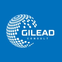 Gilead Consult logo - Similar company to Knowledge Squared Solutions (K²S)