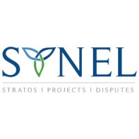 Synel Consulting International logo - Similar company to Larm Consulting