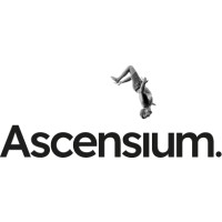 Ascensium Consultores logo - Similar company to Akeito