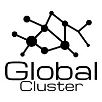 Global Cluster by  IB SOFTWARE logo - Similar company to Dl Consulting