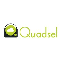Quadsel Systems Pvt Ltd logo - Similar company to Bluebase Software Services