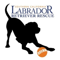 Southern California Labrador Retriever Rescue logo - Similar company to Rottweiler Safety Llc