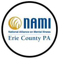 NAMI of Erie County logo - Similar company to The Mending Space