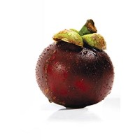 Mangosteen & More logo - Similar company to Back To Roots™