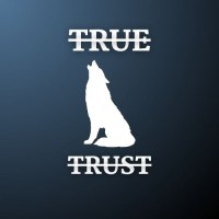 TrueTrust logo - Similar company to Datafam