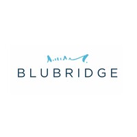 BluBridge LLC logo - Similar company to Blubridge
