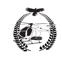 Desert Hawk Aviation logo - Similar company to Phoenix Aviation Solutions