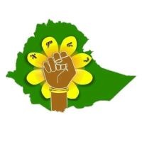 TIMRAN (ትምራን) logo - Similar company to Ethiopian Human Rights Defenders Center