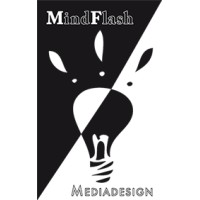 Werbeagentur MindFlash Mediadesign Euskirchen logo - Similar company to Prebit Lighting