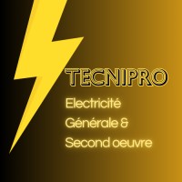 Tecnipro logo - Similar company to Mitchell Construction, Inc