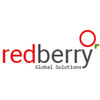 Redberry Global Solutions L.L.P logo - Similar company to Hokybo