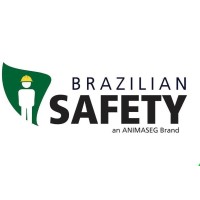 Brazilian Safety logo - Similar company to Net Epi