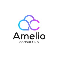 Amelio Consulting logo - Similar company to Seven20