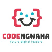 CodeNgwana logo - Similar company to 3E Group