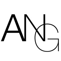 ANG Traders logo - Similar company to Aspire Now Global