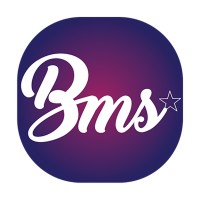 Bring Me Stars logo - Similar company to Artist Network India