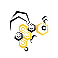 Webees Tech logo - Similar company to Broadlink Uae Branch