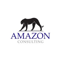 Amazon Consulting logo - Similar company to Amazon Solutions Pro