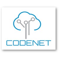 Codenet Soluções em TI logo - Similar company to Prosys Consulting Llc