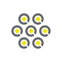 Pi Imaging Technology - a ZEISS company logo - Similar company to Singular Photonics