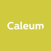 Caleum logo - Similar company to Diglia