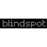 Blindspot Consulting, Inc.