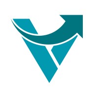 VneX CyberSec logo - Similar company to Cosmun Softwares