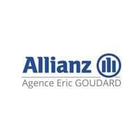 ALLIANZ Eric GOUDARD logo - Similar company to Cyber Vigilants