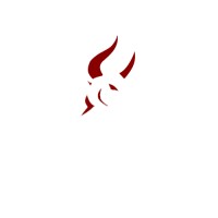 Bovarius Capital Management logo - Similar company to Nova Securities Ltd