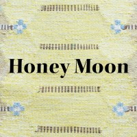 Honey Moon Interior logo - Similar company to Casa Mare Llc