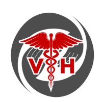 Vegas Healthcare logo - Similar company to Budapest Bunnies